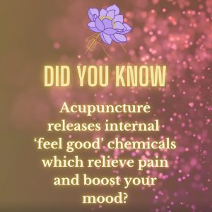 Read more about the article Acupuncture & Your Well-being: Through the Looking Glass